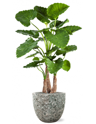 Sammenplantning med krukke og kunstig Alocasia Calidora plante H159 cm