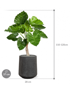 Sammenplantning med krukke... 2