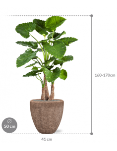 Sammenplantning med krukke... 2