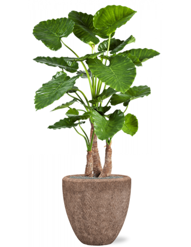 Sammenplantning med krukke og kunstig Alocasia Calidora plante H167 cm