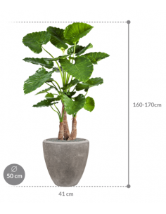 Sammenplantning med krukke... 2