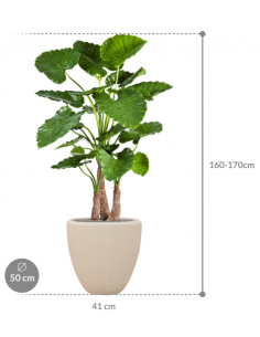 Sammenplantning med krukke... 2