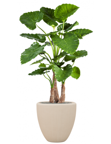 Sammenplantning med krukke og kunstig Alocasia Calidora plante H167 cm