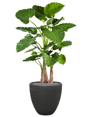 Sammenplantning med krukke og kunstig Alocasia Calidora plante H167 cm