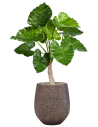 Sammenplantning med krukke og kunstig Alocasia Calidora plante H120 cm