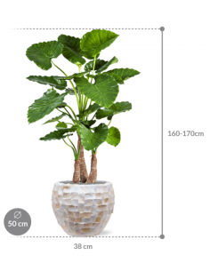 Sammenplantning med krukke... 2