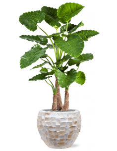 Sammenplantning med krukke...