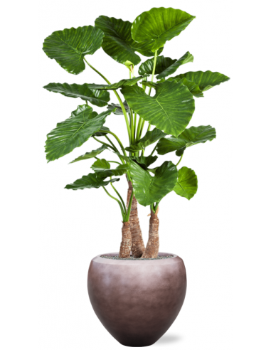 Sammenplantning med krukke og kunstig Alocasia Calidora plante H162 cm