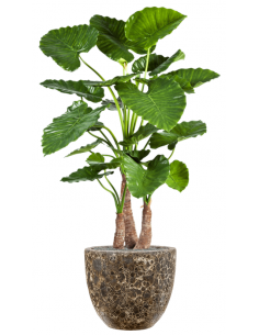 Sammenplantning med krukke...