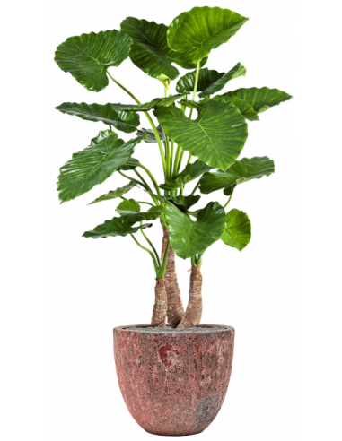 Sammenplantning med krukke og kunstig Alocasia Calidora plante H159 cm