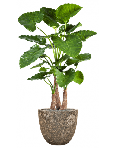 Sammenplantning med krukke og kunstig Alocasia Calidora plante H159 cm