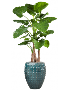 Sammenplantning med krukke...