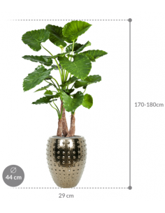 Sammenplantning med krukke... 2