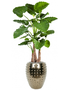 Sammenplantning med krukke...