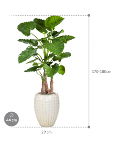 Sammenplantning med krukke... 2