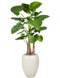 Sammenplantning med krukke...