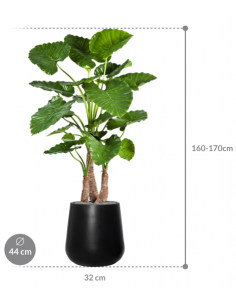 Sammenplantning med krukke... 2