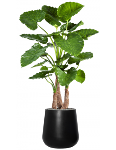 Sammenplantning med krukke...