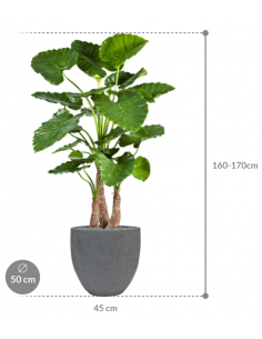 Sammenplantning med krukke... 2