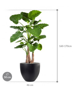 Sammenplantning med krukke... 2