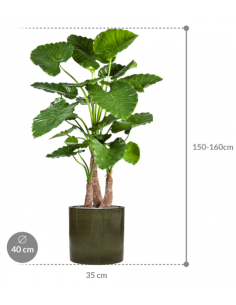 Sammenplantning med krukke... 2