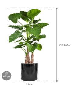 Sammenplantning med krukke... 2