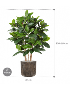 Sammenplantning med krukke... 2