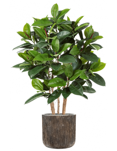 Sammenplantning med krukke og kunstig Ficus Elastica plante H156 cm