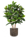 Sammenplantning med krukke og kunstig Ficus Elastica plante H156 cm