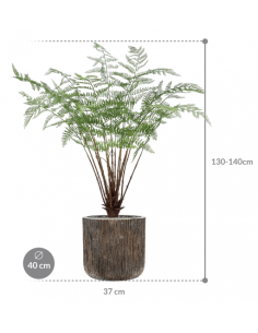 Sammenplantning med krukke... 2