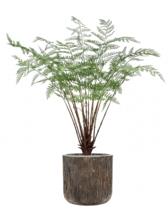 Sammenplantning med krukke...