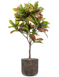 Sammenplantning med krukke...