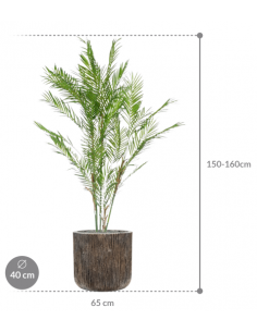 Sammenplantning med krukke... 2