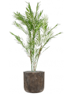 Sammenplantning med krukke...