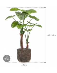 Sammenplantning med krukke... 2