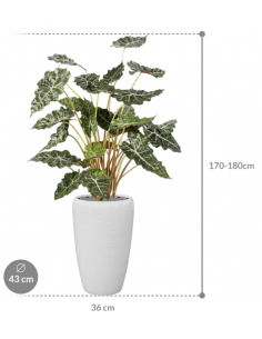 Sammenplantning med krukke... 2