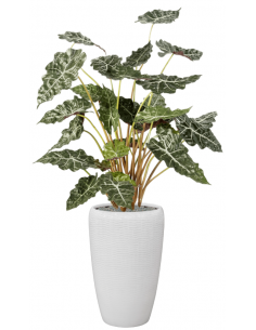 Sammenplantning med krukke...