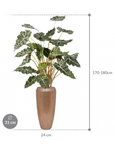 Sammenplantning med krukke... 2