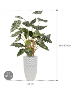 Sammenplantning med krukke... 2