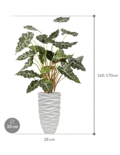 Sammenplantning med krukke... 2