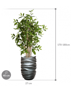 Sammenplantning med krukke... 2