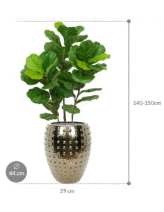 Sammenplantning med krukke... 2