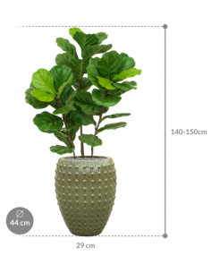 Sammenplantning med krukke... 2