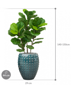 Sammenplantning med krukke... 2