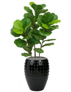 Sammenplantning med krukke...