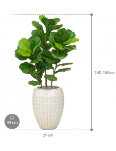 Sammenplantning med krukke... 2