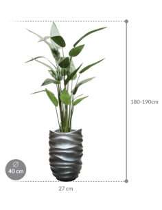 Sammenplantning med krukke... 2