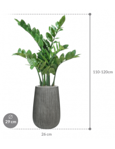 Sammenplantning med krukke... 2