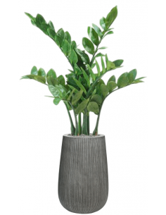 Sammenplantning med krukke...