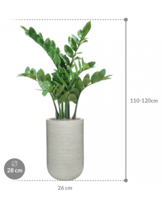 Sammenplantning med krukke... 2